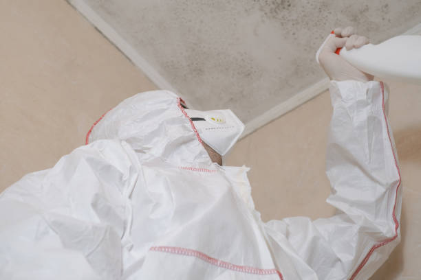 Certified Mold Removal in Havre, MT